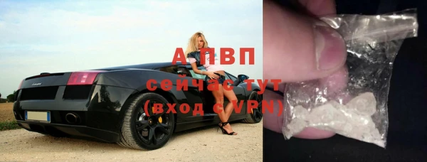 спиды Лиски