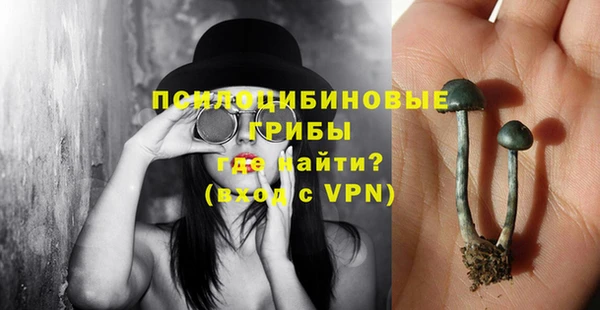 мдпв Липки