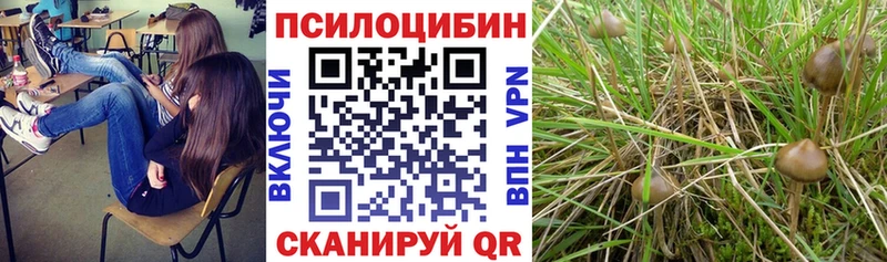 Галлюциногенные грибы прущие грибы  mega как зайти  Строитель  купить  