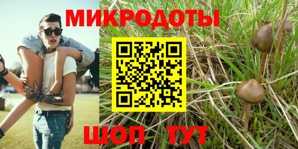 Псилоцибиновые грибы мухоморы Строитель