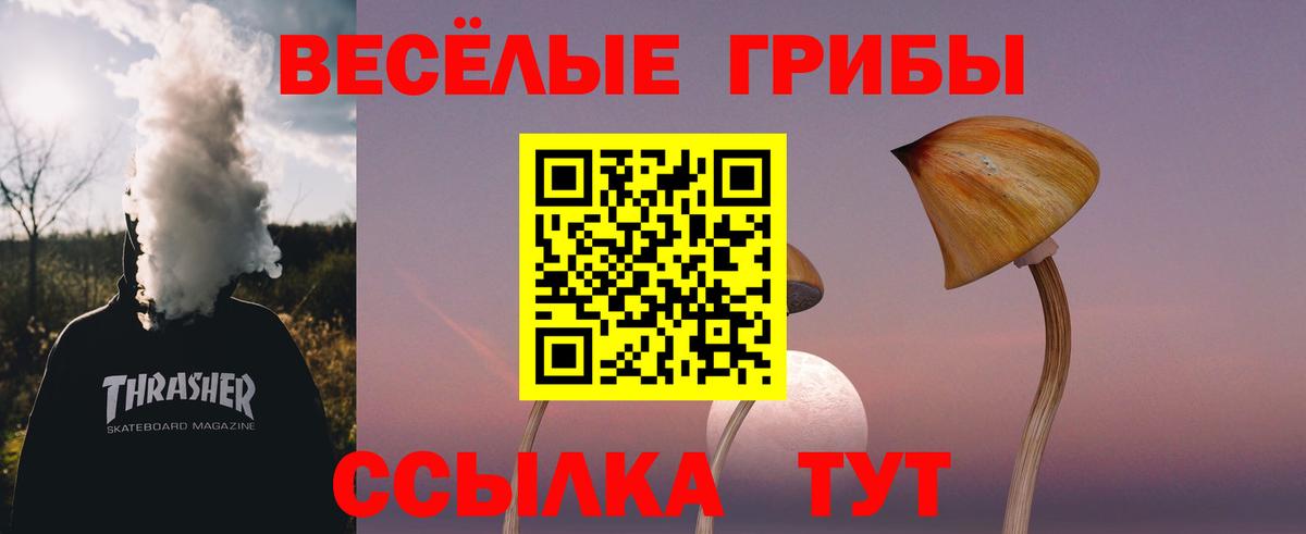 Галлюциногенные грибы мицелий  Вход с VPN  купить наркотик  Строитель 